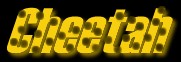 cheetah-header.jpg (6233 bytes)